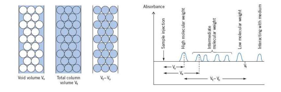 Common terms in gel filtration.