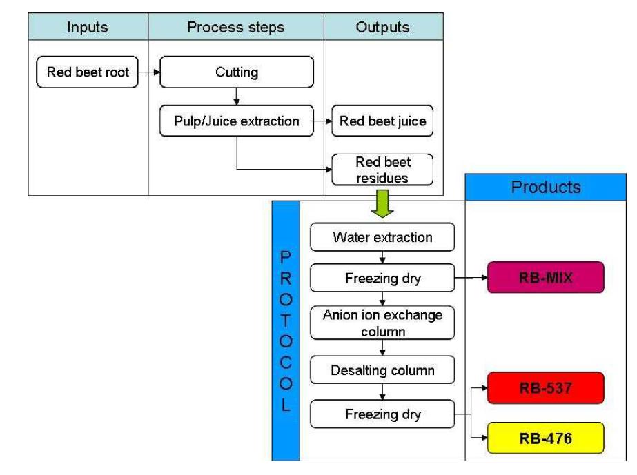 Process flow diagram for the production of red beet pigments.