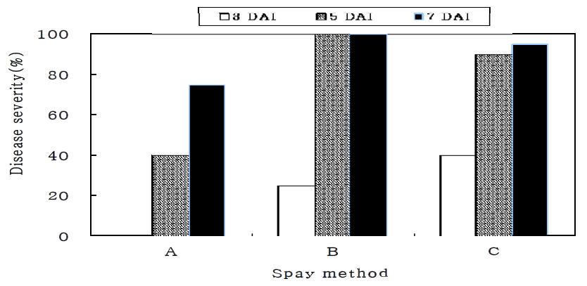 Comparison of disease severities of isolate 1523 on pepper bacterial spot with different spraying-treatment.