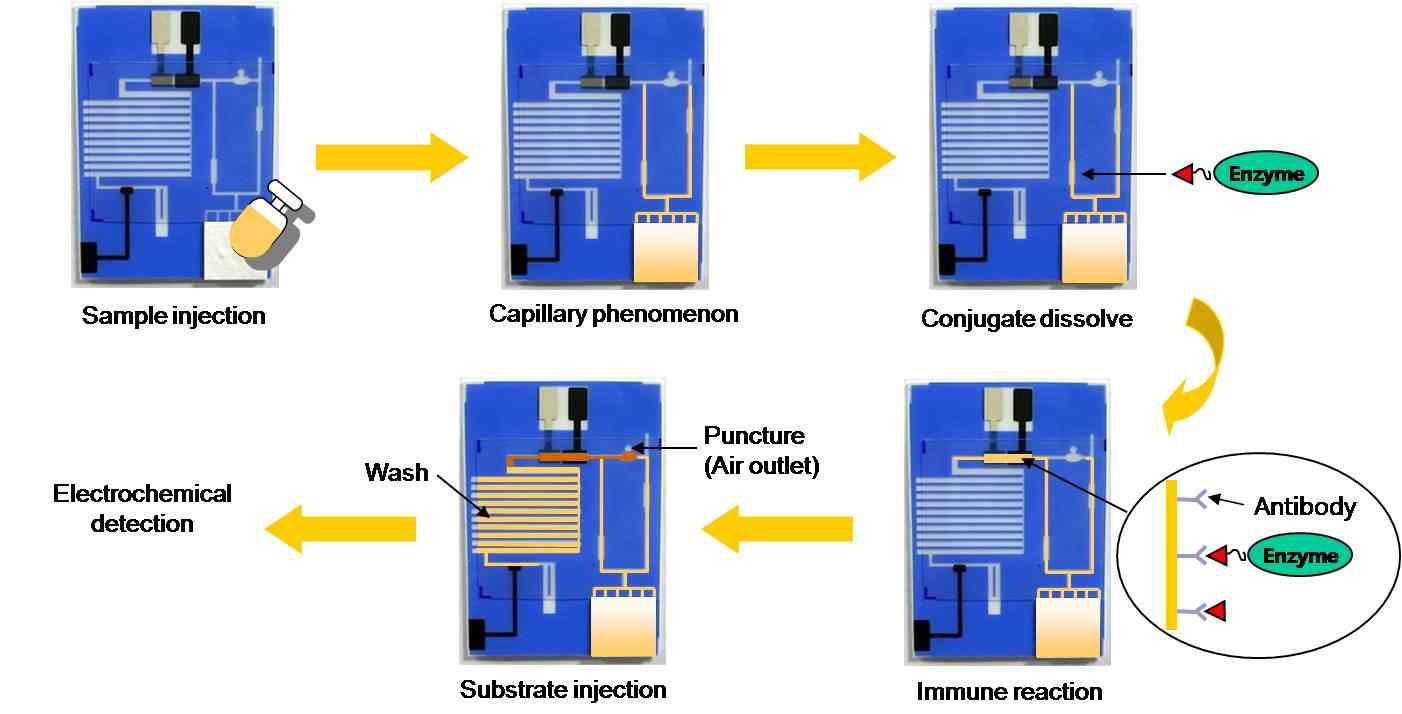 Lab-on-a-film 칩 작동 원리.
