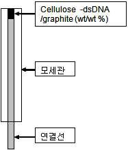 탄소반죽전극의 구조.