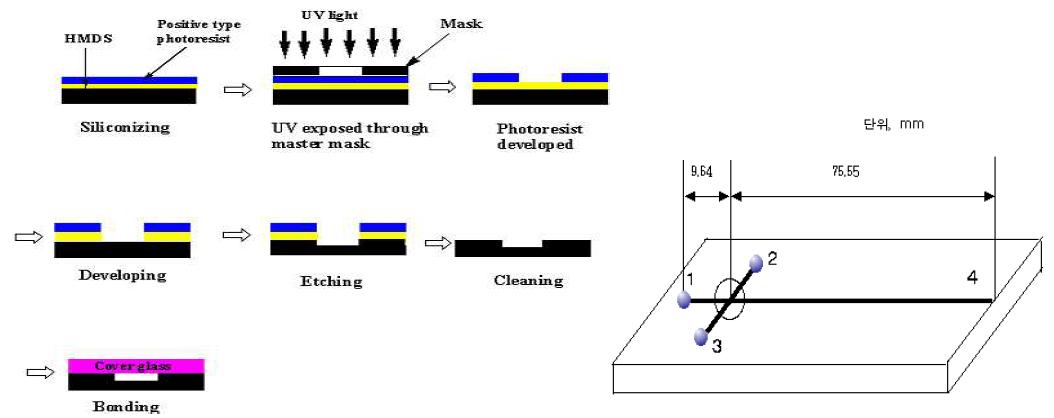 Microfluidic chip (glass chip) 제작과정 및 단일채널 chip 구조.