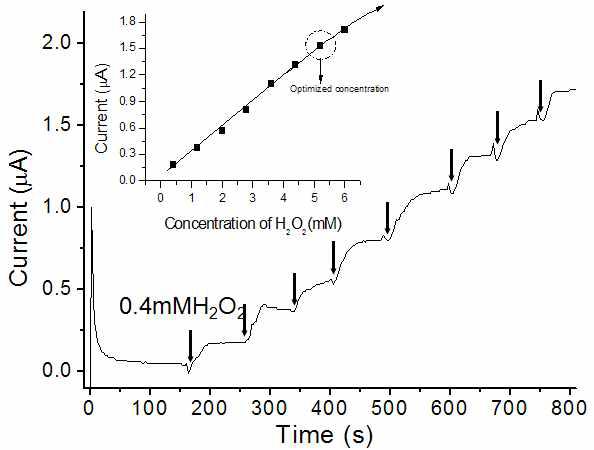H2O2의 농도에 따른 면역센서의 전류변화.