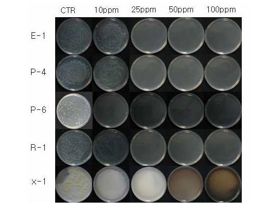 In vitro inhibitory effects of WA-AT-WA13R against various plant pathogenic bacteria.