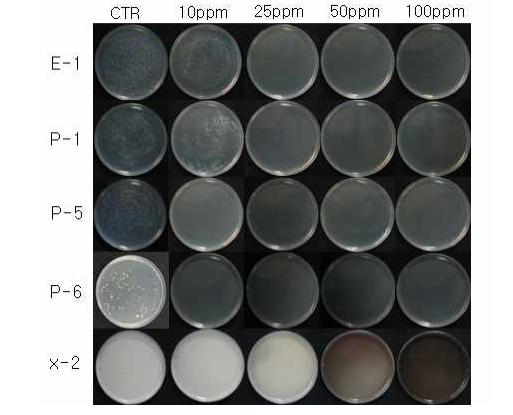 In vitro inhibitory effects of WA-PR-WB13R against various plant pathogenic bacteria.