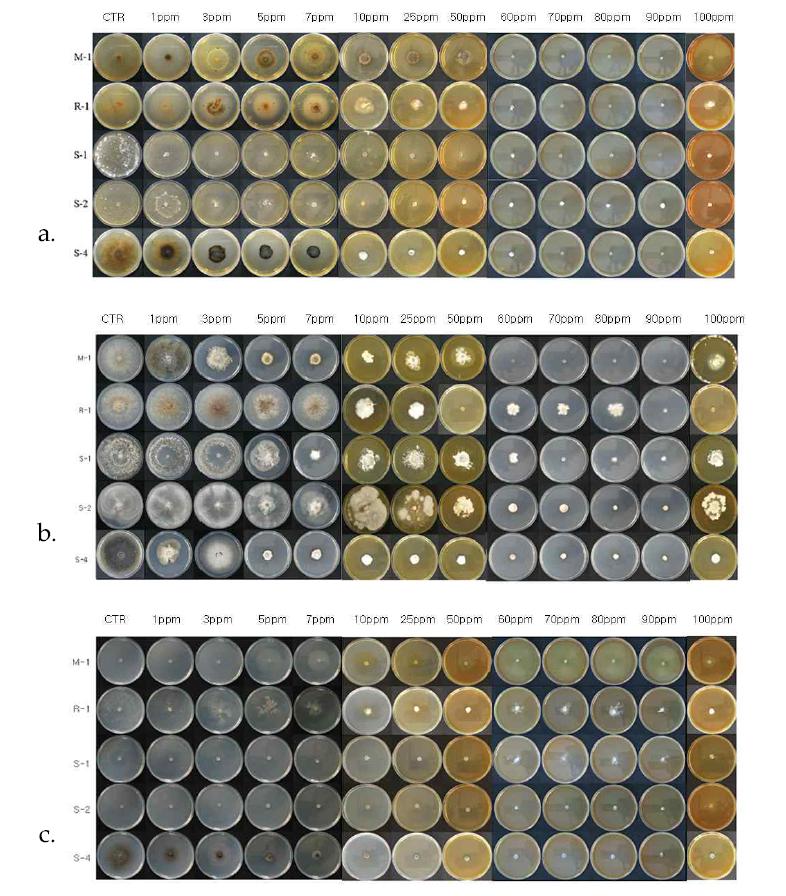 In vitro inhibitory effects of WA-AT-WB13R against various fungi on different media.