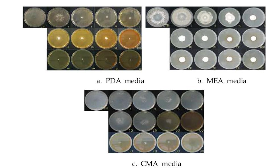 In vitro inhibitory effects of WA-AT-WB13R against sclerotium germination of Sclerotiniaminor on different media