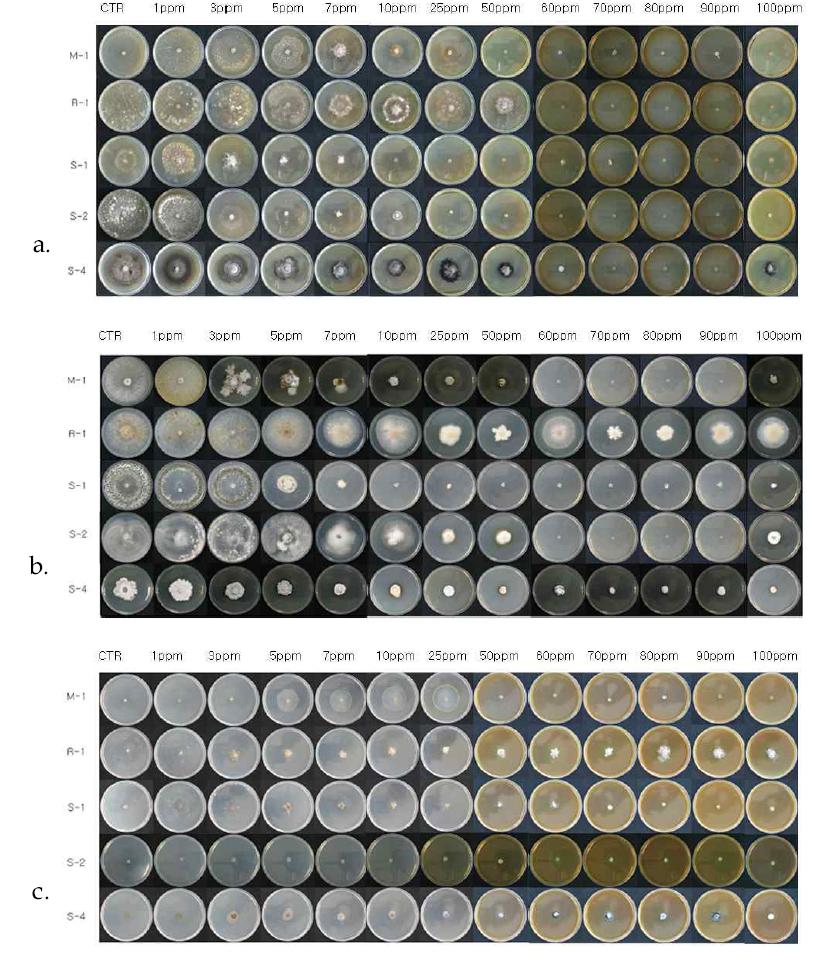 In vitro inhibitory effects of WA-CV-WA13B and WA-AT-WB13R combination against various plant pathogenic fungi on different media.