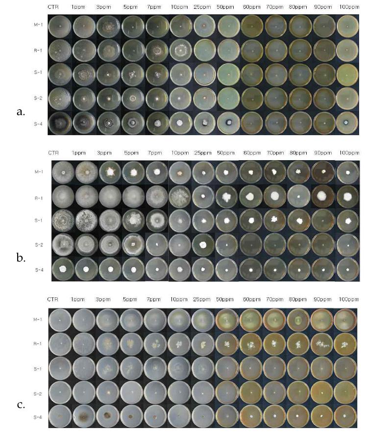 In vitro inhibitory effects of WA-CV-WA13B, WA-AT-WB13R and WA-PR-WB13R combination against various plant pathogenic fungi on different media