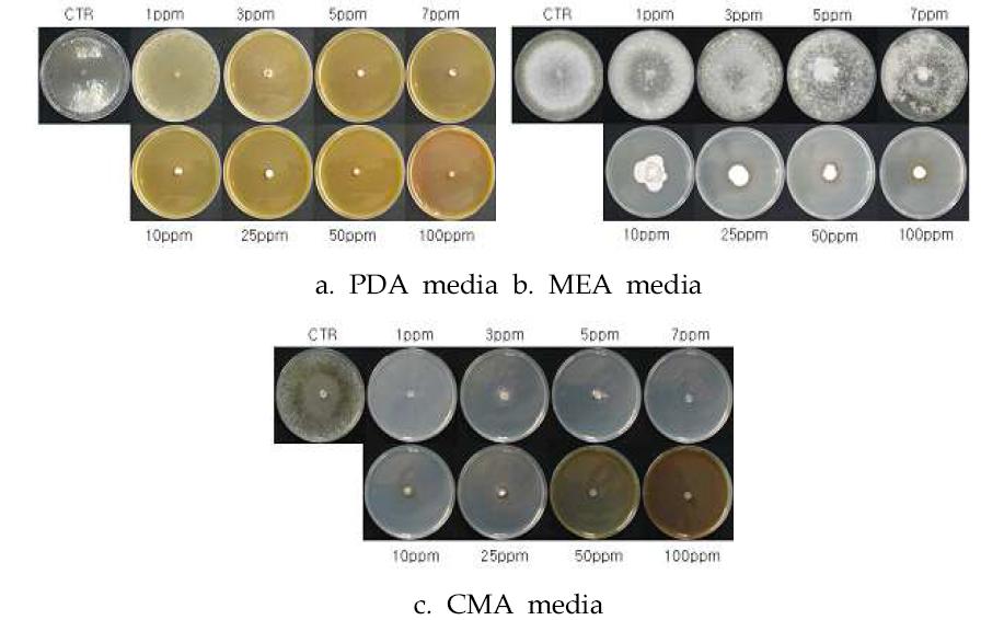 In vitro inhibitory effects of WA-PR-WB13R against Sclerotium cepivorum on different media.