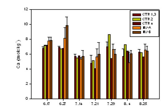 Ca 함량 변화