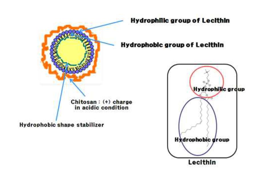 The schematic of resulting sample