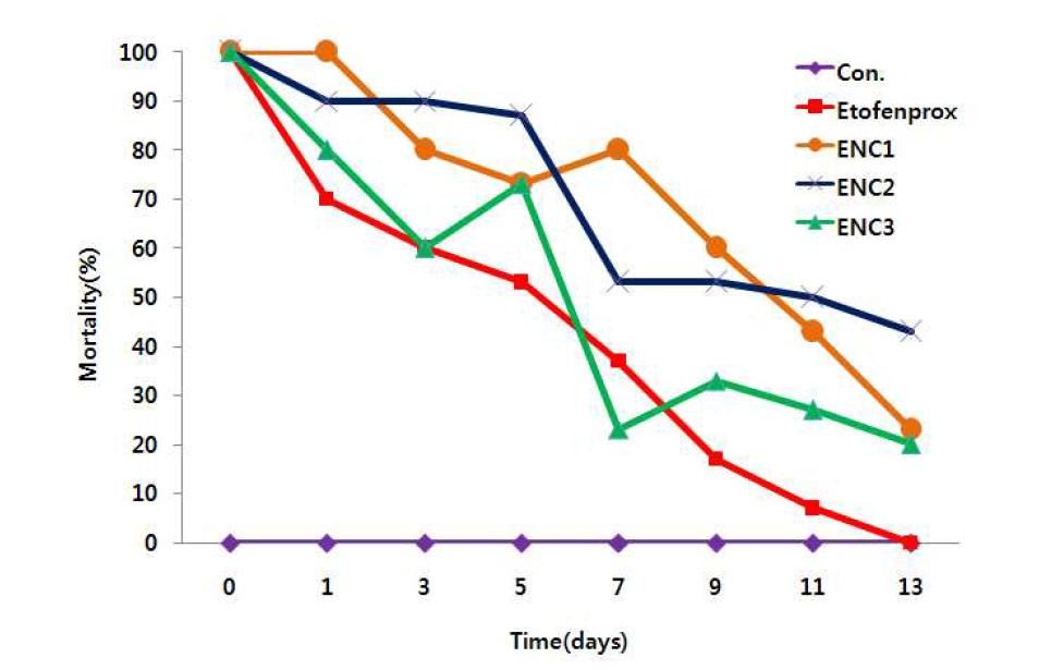 Mortality of S. litura 2nd instars against different ENC type