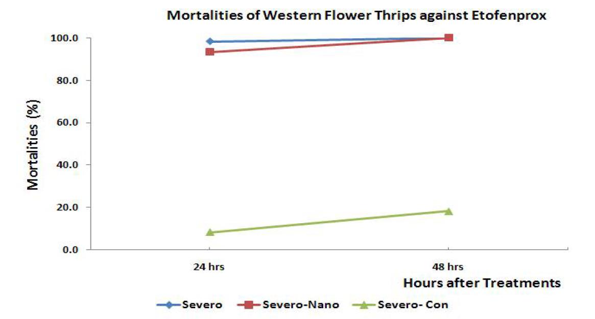 Mortalities of western flower thrips against etofenprox (Severo®) and nano-etofenprox after direct spraying for 24 and 48 hours