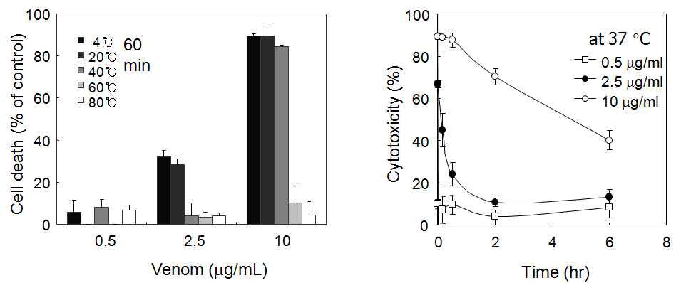 Heat stability test of N. nomurai jellyfish venom on H9C2 cardiac myoblast.
