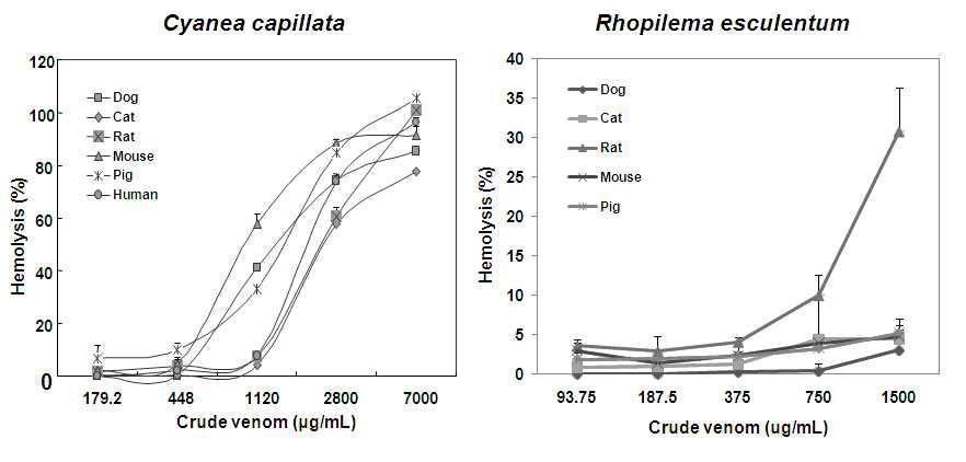 기타 독성해파리류의 용혈능력 평가