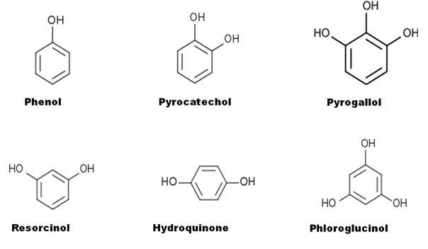 노무라입깃해파리 독소의 중독 제어방안에 사용된 폴리페놀의 종류