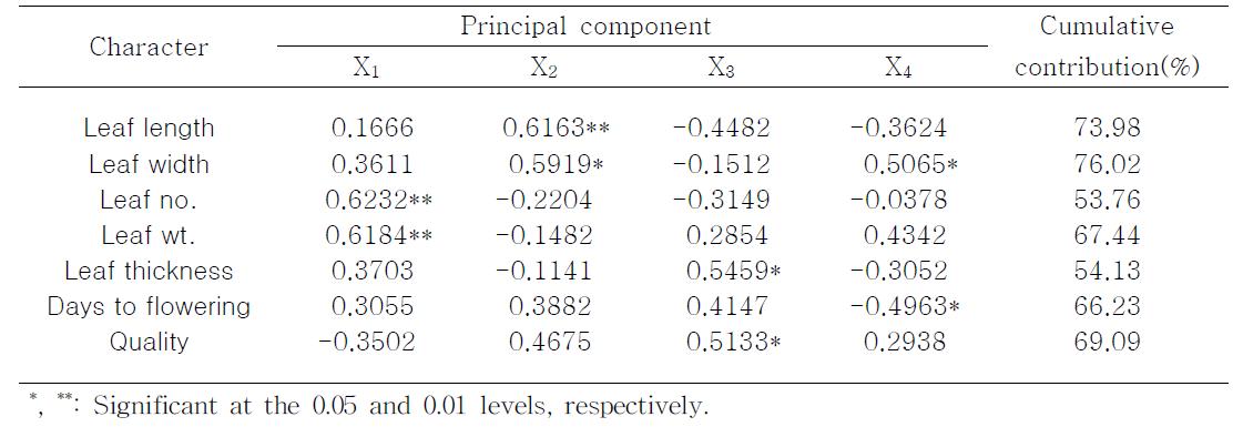 Correlation coefficient between character and principal component, and cumulative contribution of character to the first three principal components in red-leaf lettuce.
