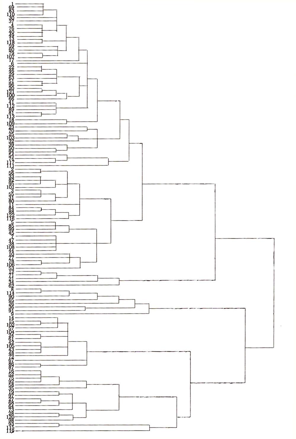 Dendrogram of red leaf lettuce varieties classified by characteristic distance based on principal component analysis.