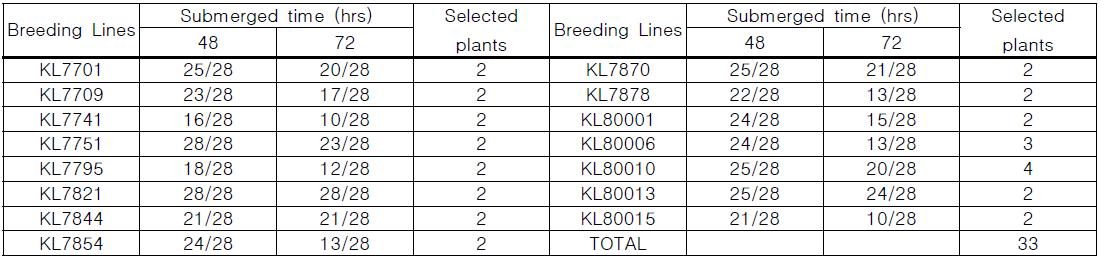 The selected plants in each line population were resulted with tolerant-water test by submerged under water in 2008.