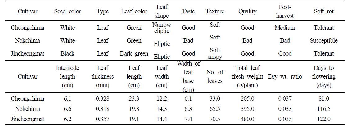 Major agronomic traits and yield components of three different leaf-lettuce cultivars,