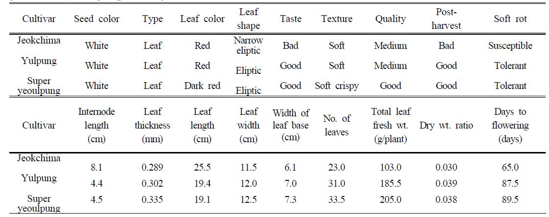 Major agronomic traits and yield components of three different leaf-lettuce cultivars,