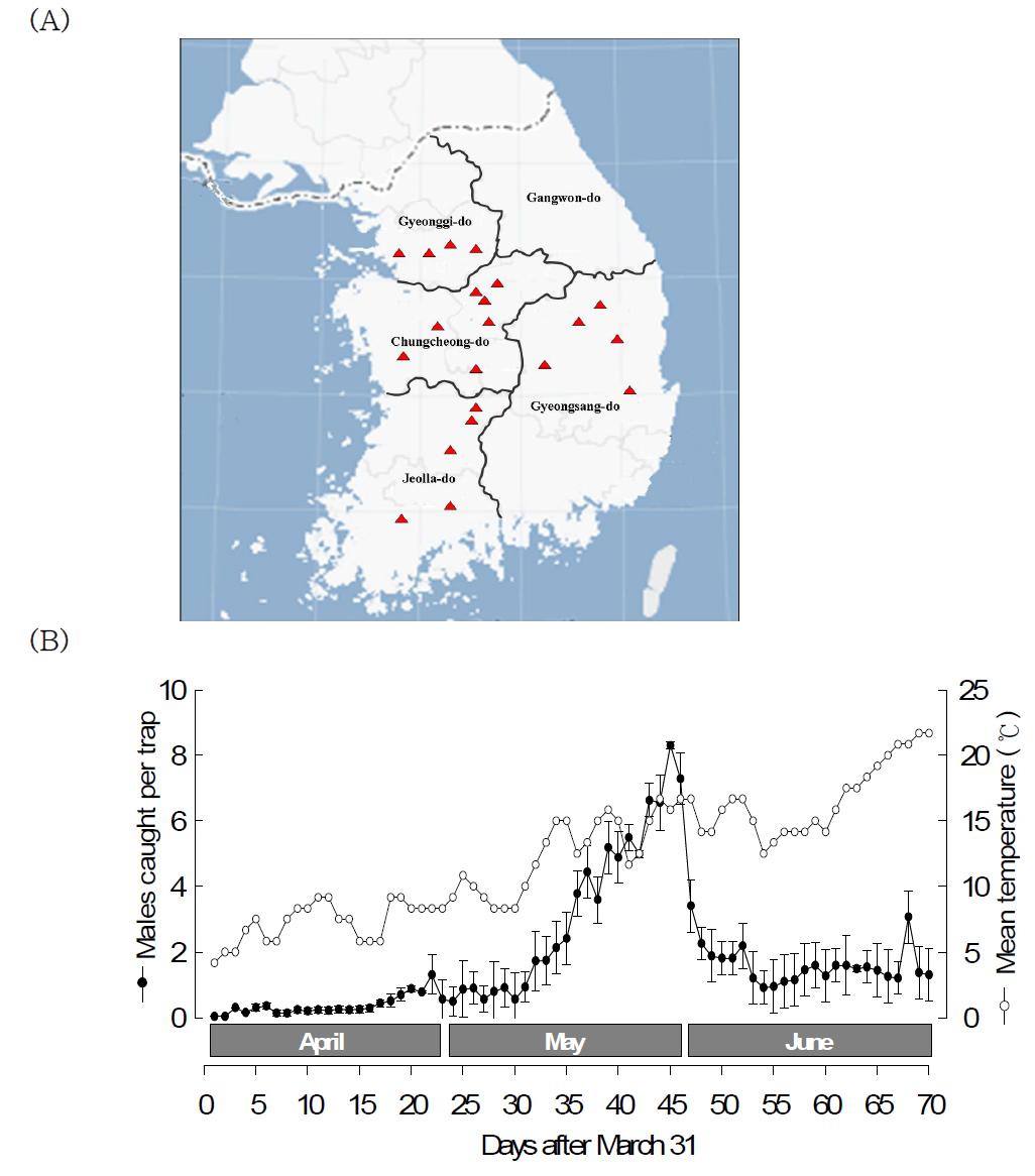 Monitoring of overwintering populations of Grapholita molesta using remote-sensing IT pheromone traps in different regions of Korea in 2010.