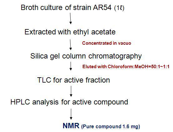 PurificationstepsforactivecompoundpiericidinA1from AR54