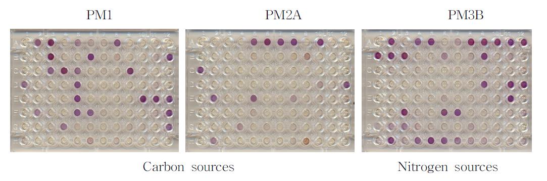 Analysisofutilizationofcarbonandnitrogensourcesbyphenotypemicroarray