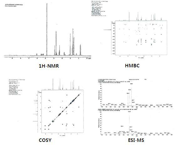 Structureanalysisofactivecompound