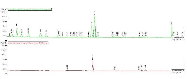HPLC chromatogram of ginsenoside and extracted compound-K.