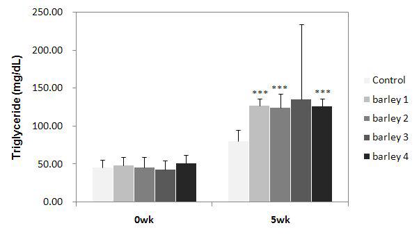 Effects of barely-substitute diet on plasma triglyceride concentration