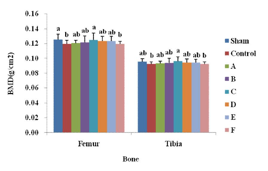 Bone mineral density of right femu rbone after 6 week administration since ovriectomy surgery