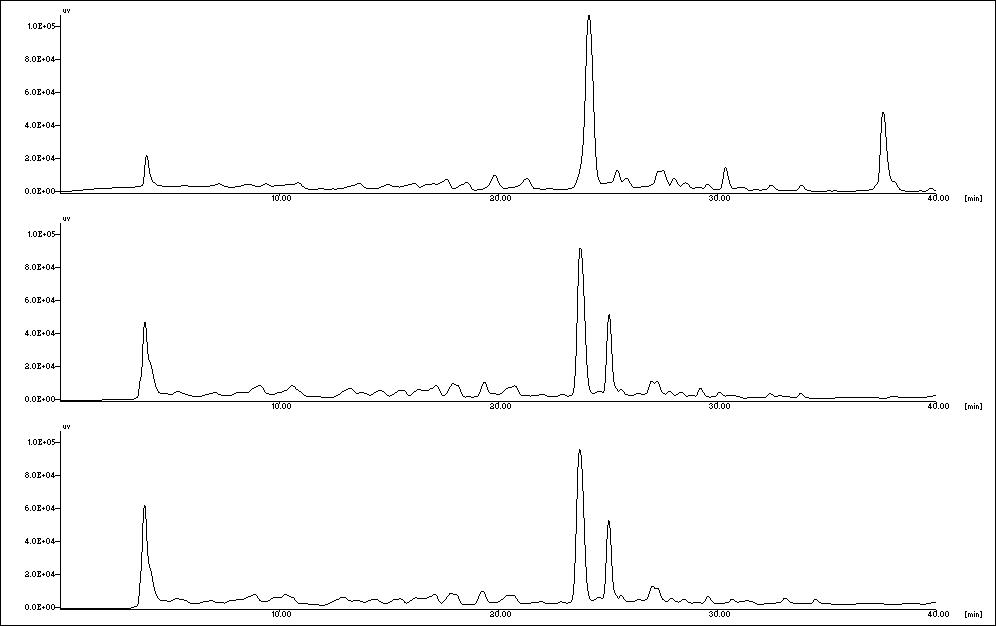 친환경 감귤 발효유의 HPLC chromatogram