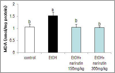 Narirutin을 경구투여 한 mouseliver의 MDA 측정