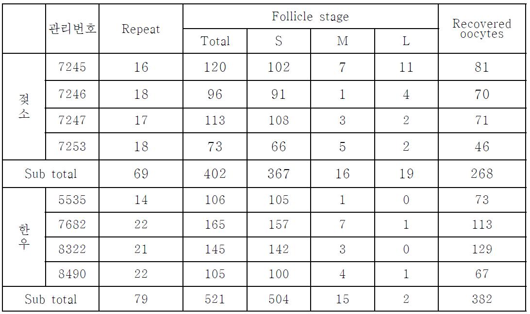 체내난자 채취시 각 개체별 난포 발육상태 및 난자 회수