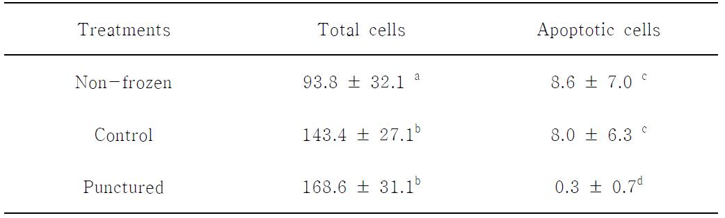 동결 융해 후 수정란의 Apoptosis 비교