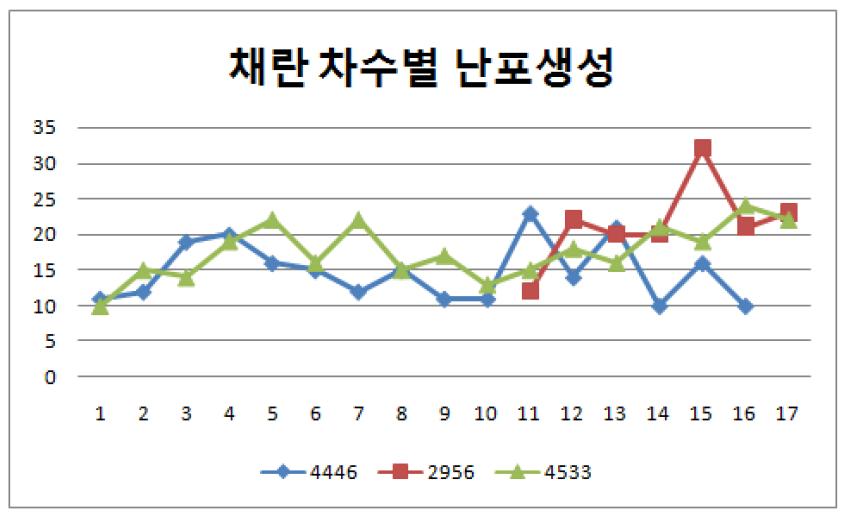 비타민 E 투여전 난포생성