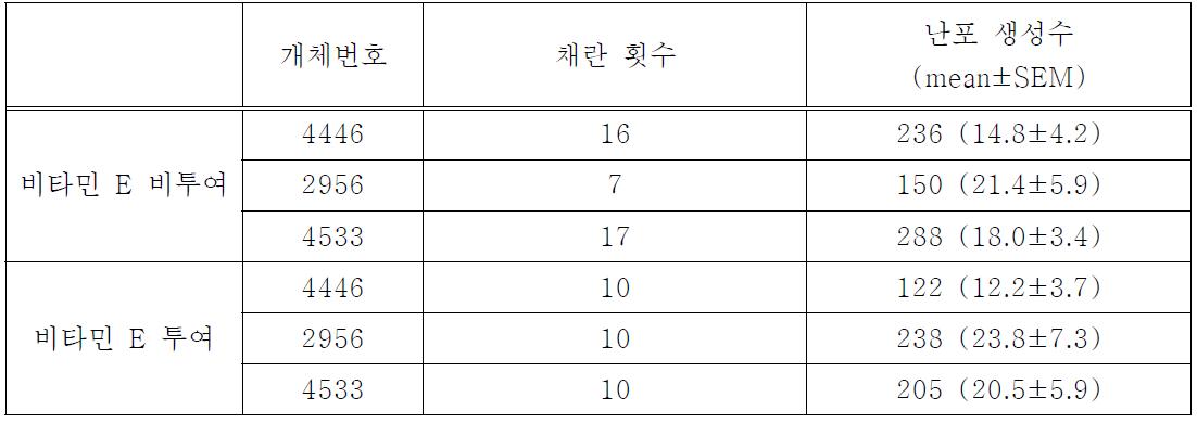 개체별 난포 생성 수