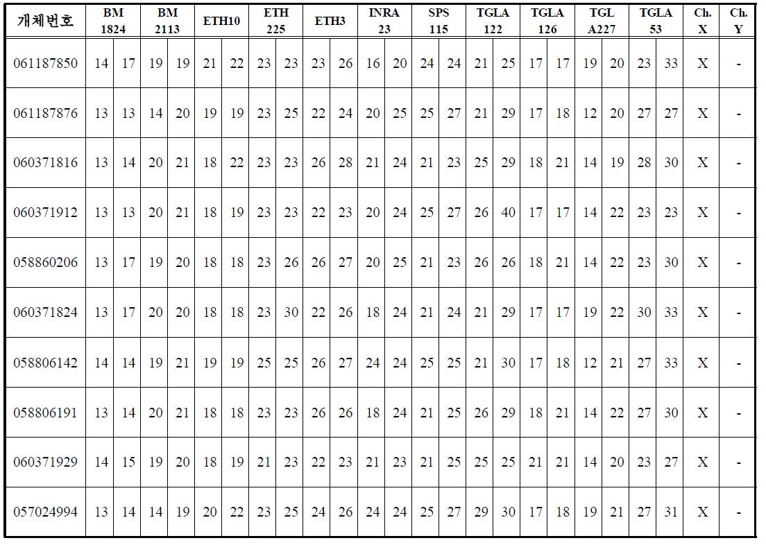 수정란 이식을 통해 생산된 송아지에 대한 13종의 DNA 마커 분석 결과(디지털 데이터)