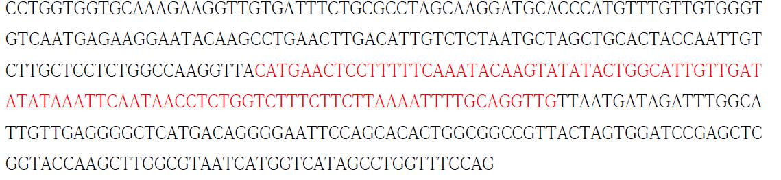 Determined DNA sequence of putative wild Panax ginseng pGAPDH-w gene. (Novel sequence are in red)