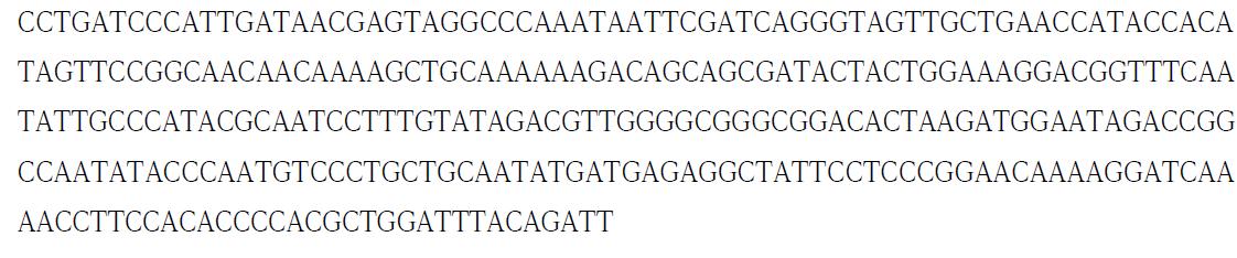 Determined partial DNA sequence of putative Panax ginseng Chloroplast rpo -psbB gene