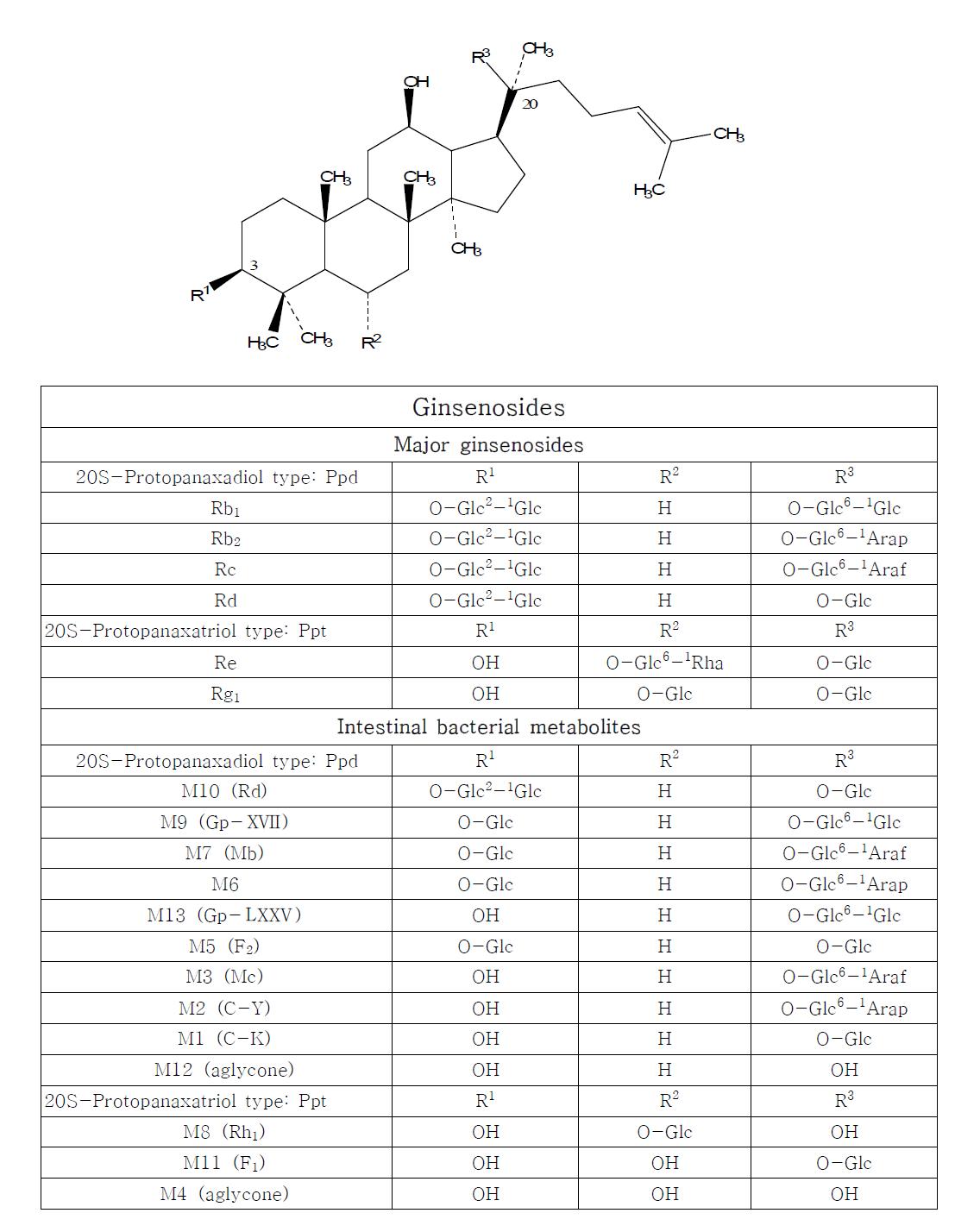 Chemical structures of ginsenosides and their metabolites formed by intestinal bacteria.