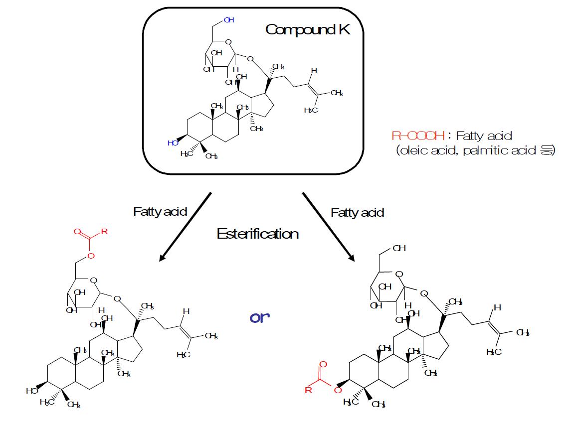 Expected chemical structures after esterification.