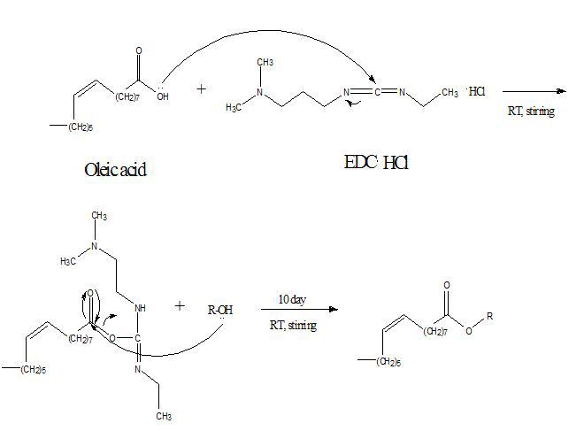 Putative mechanism of chemical esterification reaction between compoundK and oleic acid.