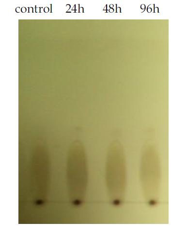 TLC analysis of esterification reaction of ginsenoside Rb1(0.2%,w/v) with oleicacid (14.5%,v/v)in 2-methyl-2-butanol(with adeveloping solvent of hexane:EA (20:1)