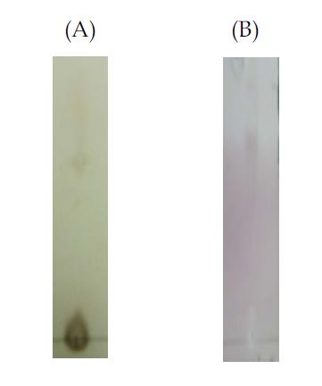 TLC analysis of esterification reactions of compound K (0.2%,w/v) with octanoic acid (6.4%,v/v)in isooctane:DMSO (31.25:1)at 96hrs using two different lipases (with a developing solvent of hexane:EA (30:1));(A Novozym 435,(B)LipaseGF.