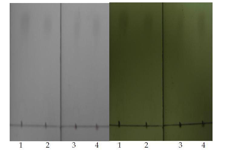 TLC analysis of esterification (scaled-up)reaction of compound K (0.2%,w/v) with octanoic acid (6.4%,v/v) inisooctane:DMSO (31.25:1) (with a developing solventofhexane:EA (30:1));(1,2,3,4)same scale samples.