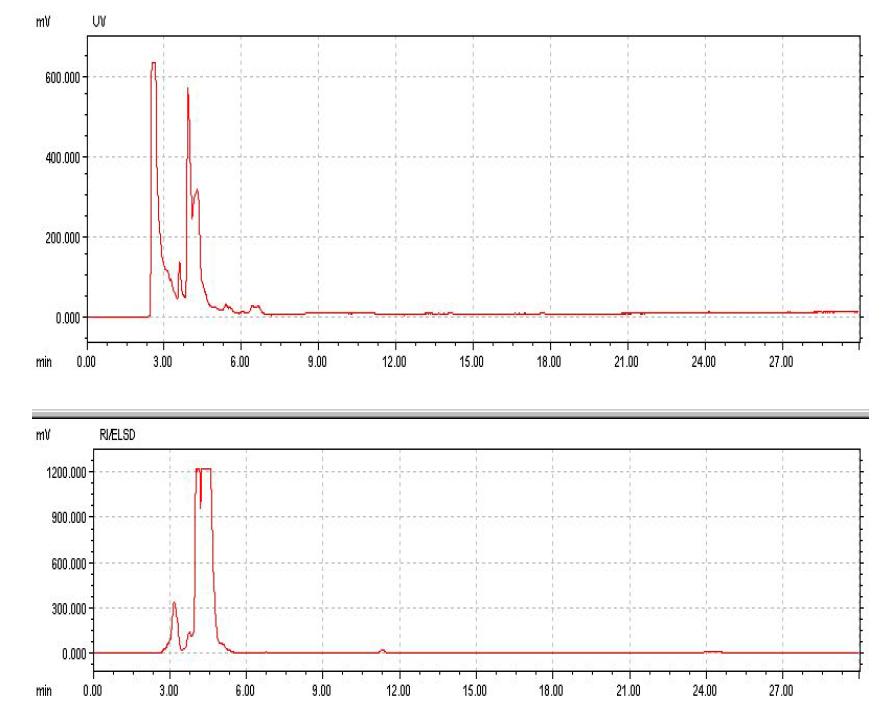 HPLC analysis of reaction mixture of compound K (0.2%,w/v) with octanoicacid (6.4%,v/v)in isooctane:DMSO (31.25:1)before reaction started.(Top)UV,(Bottom)ELSD detectors,respectively