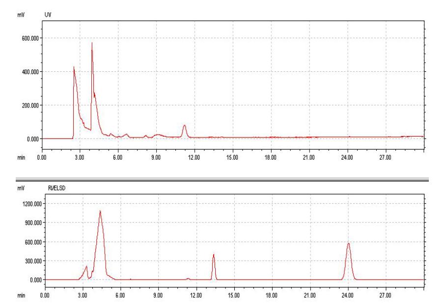 HPLC analysis of esterification reaction of compound K (0.2%,w/v) with octanoicacid (6.4%,v/v)in isooctane:DMSO (31.25:1).(Top)UV, (Bottom) ELSD detectors,respectively
